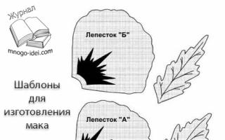 Master class di progettazione di modellistica di decorazioni"мак из фоамирана" фоамиран фом изолон