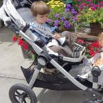 How to choose the right stroller for a child?