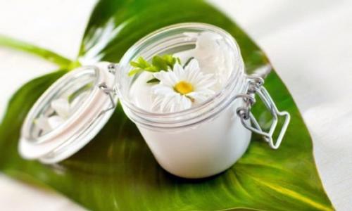 What components are hidden in a homemade cream for oily skin care?