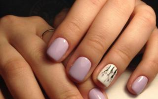 Tutto sulla manicure sulle unghie corte