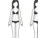 Types of female figures: ideal parameters and harmonious proportions