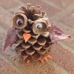 How to make an owl from pine cones