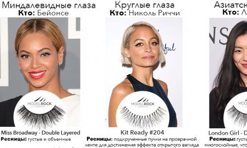 How to choose false eyelashes, which ones are best for every day and holiday